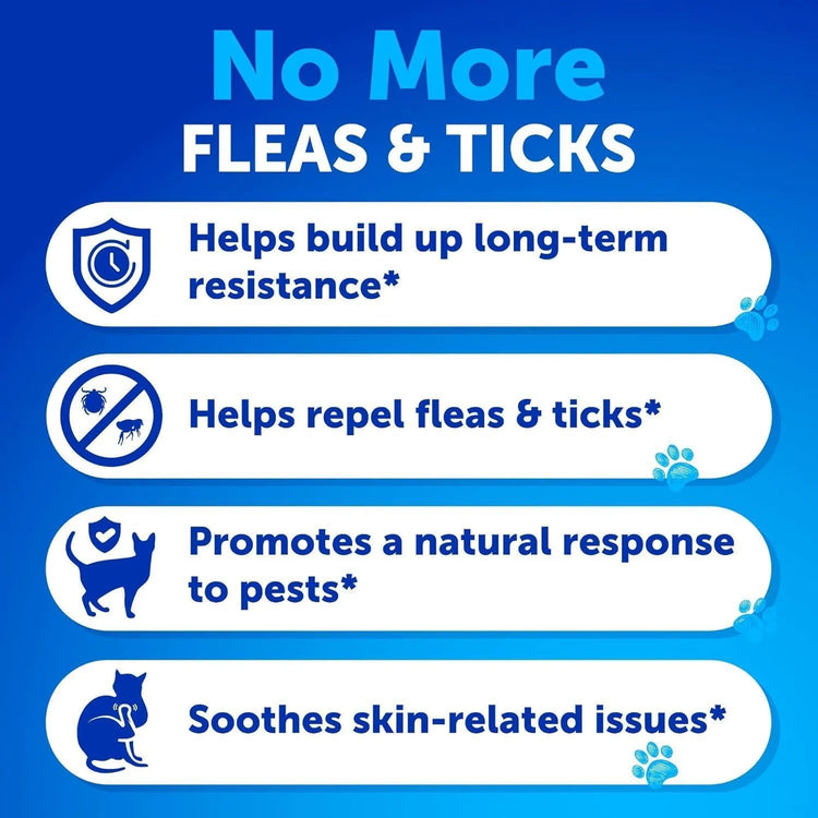 Flea Treatment for Cats Natural Flea and Tick