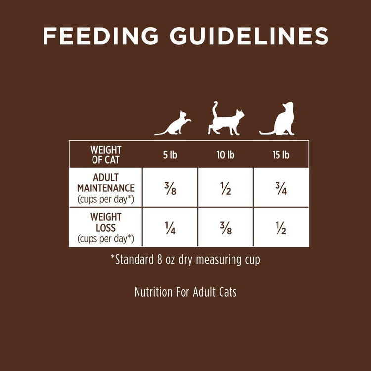 Natural Dry Cat Food, 10 Lb. Bag