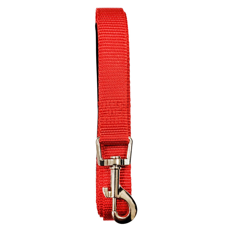 Padded Grip Dog Leash – Durable Nylon, Comfortable, and Secure – 5ft.