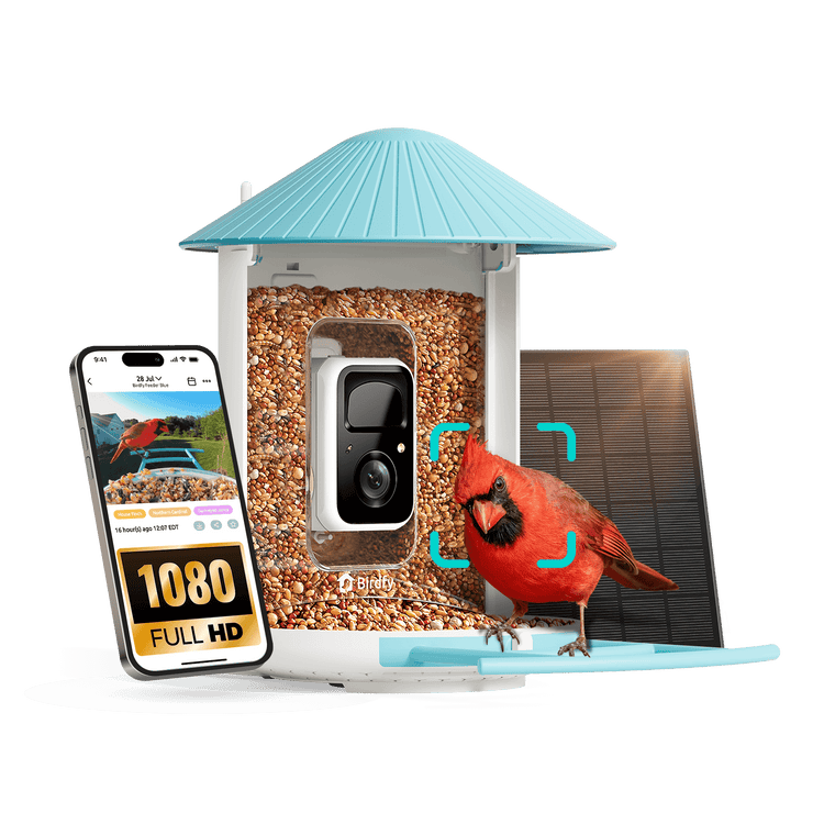 Birdfy Feeder with Solar Panel - Solar-Powered Smart Bird Feeder with Camera