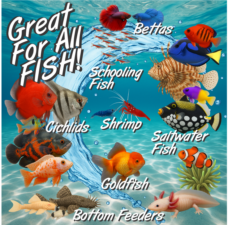 Super Cichlids Freeze-Dried Blackworms with Color Boost (All Natural, High Protein Fish Food)