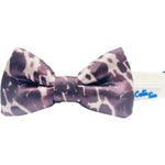 Cutie Ties Dog Bow Tie