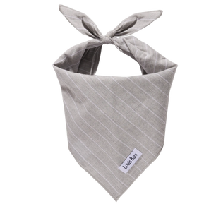 Classic Everyday Bandana