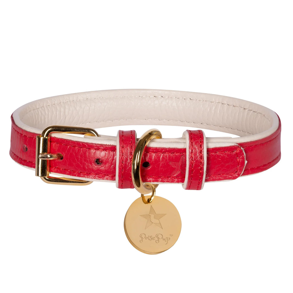 COLLAR - BELLA ROSE