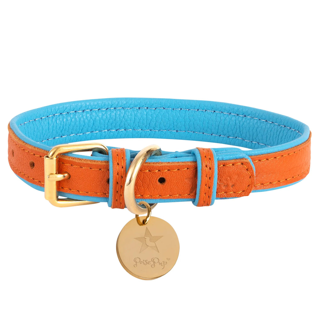 COLLAR - BELLA ROSE