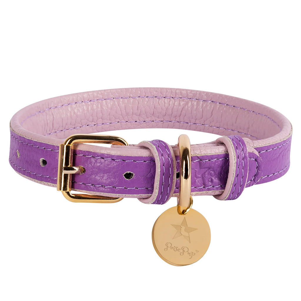 COLLAR - BELLA ROSE
