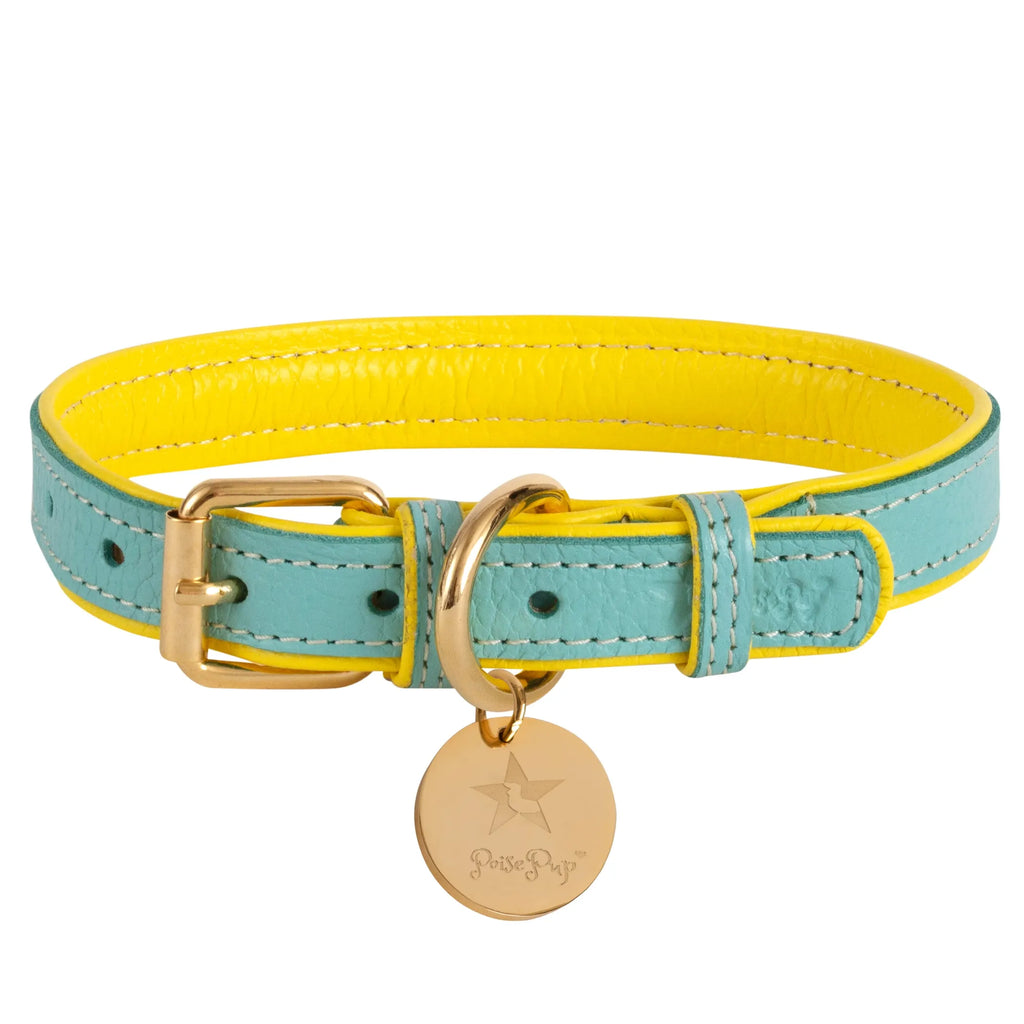 COLLAR - BELLA ROSE