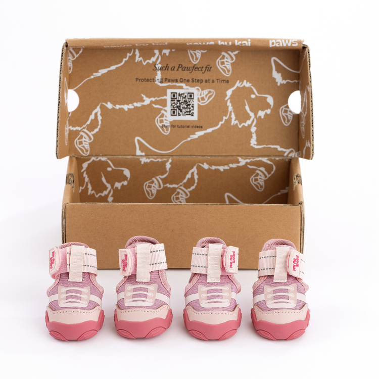 The Kai- Dog Sneaker