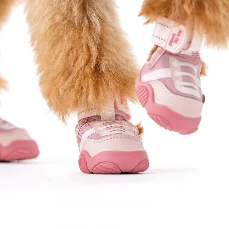 The Kai- Dog Sneaker