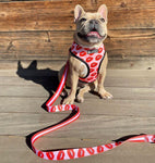 Luxury Red Lips Breathable Mesh Harness Chest Back + Traction