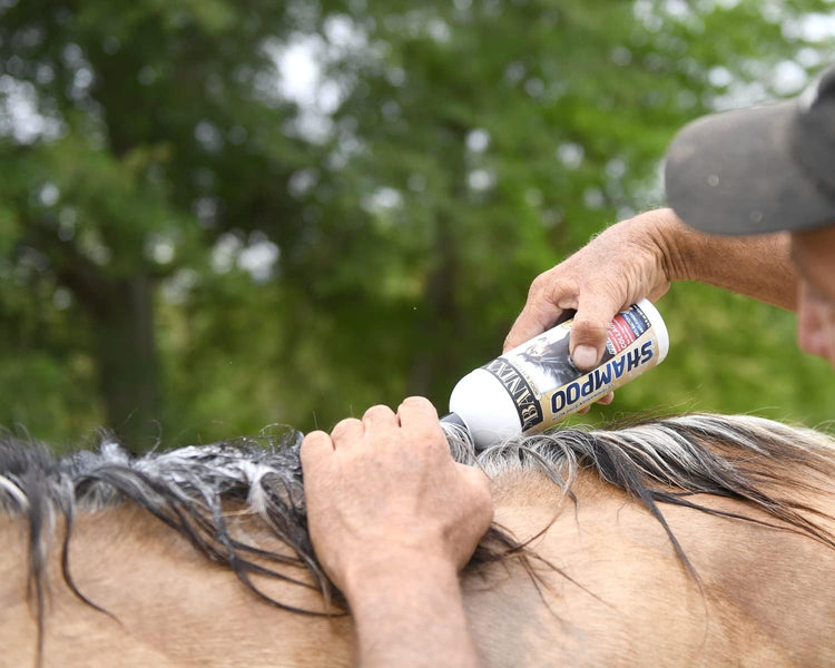 Banixx Shampoo & Spray 16 oz – Horse & Dog Skin & Coat Care Combo – USA Made
