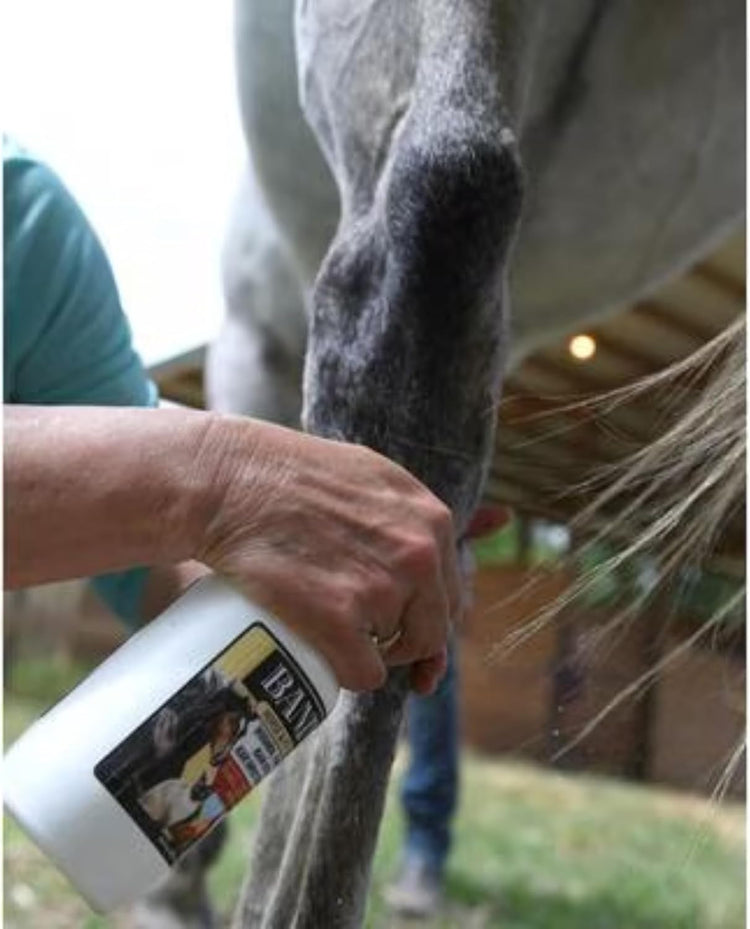 Banixx Shampoo & Spray 16 oz – Horse & Dog Skin & Coat Care Combo – USA Made