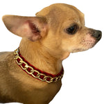Gold Chain Velvet Collar