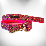 Flower Dog Leads