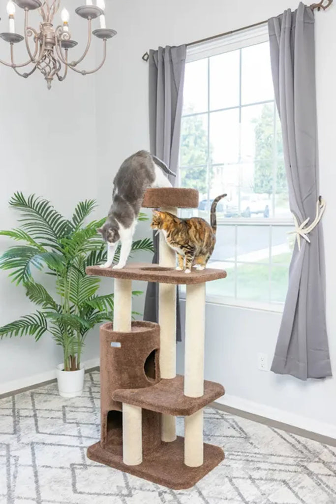 Real Wood 3-Level Carpeted Cat Tree Condo, Kitten Climber