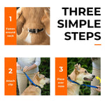 Canny Colossus No-Pull Dog Head Collar Gentle & Humane Leash Training Aid