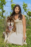 Champagne Fizz Vegan Leather Dog Leash