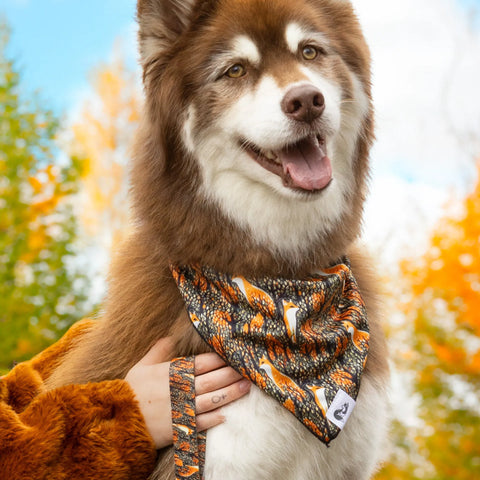 Foxes in Fall Dog Bandana & Matching Keychain