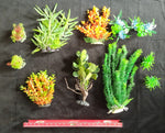 Premium Artificial Aquarium Plant Package for Fish Tank, Small Garden