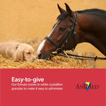 AniMed Pure MSM Horse Joint Supplement Horse Care Support USA Made 5lb.