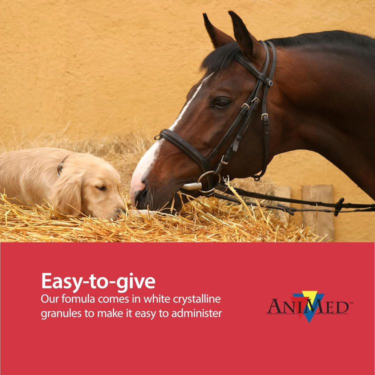 AniMed Pure MSM Horse Joint Supplement Horse Care Support USA Made 5lb.