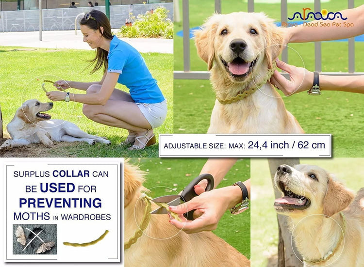 Flea & Tick Collar for Dogs & Puppies