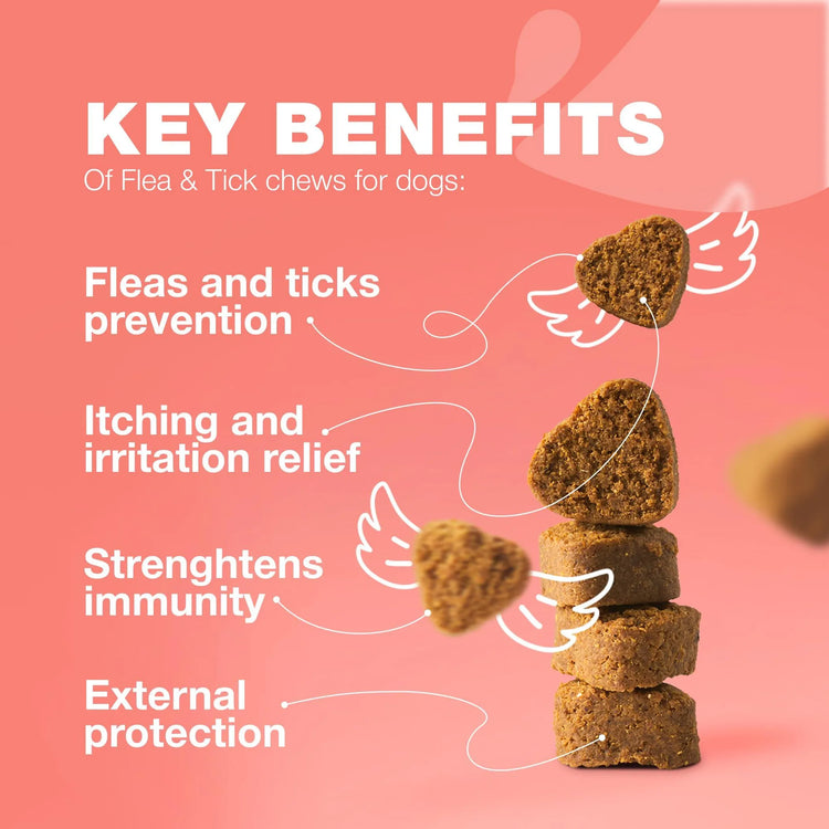 Dog Flea and Tick Treatment Chews