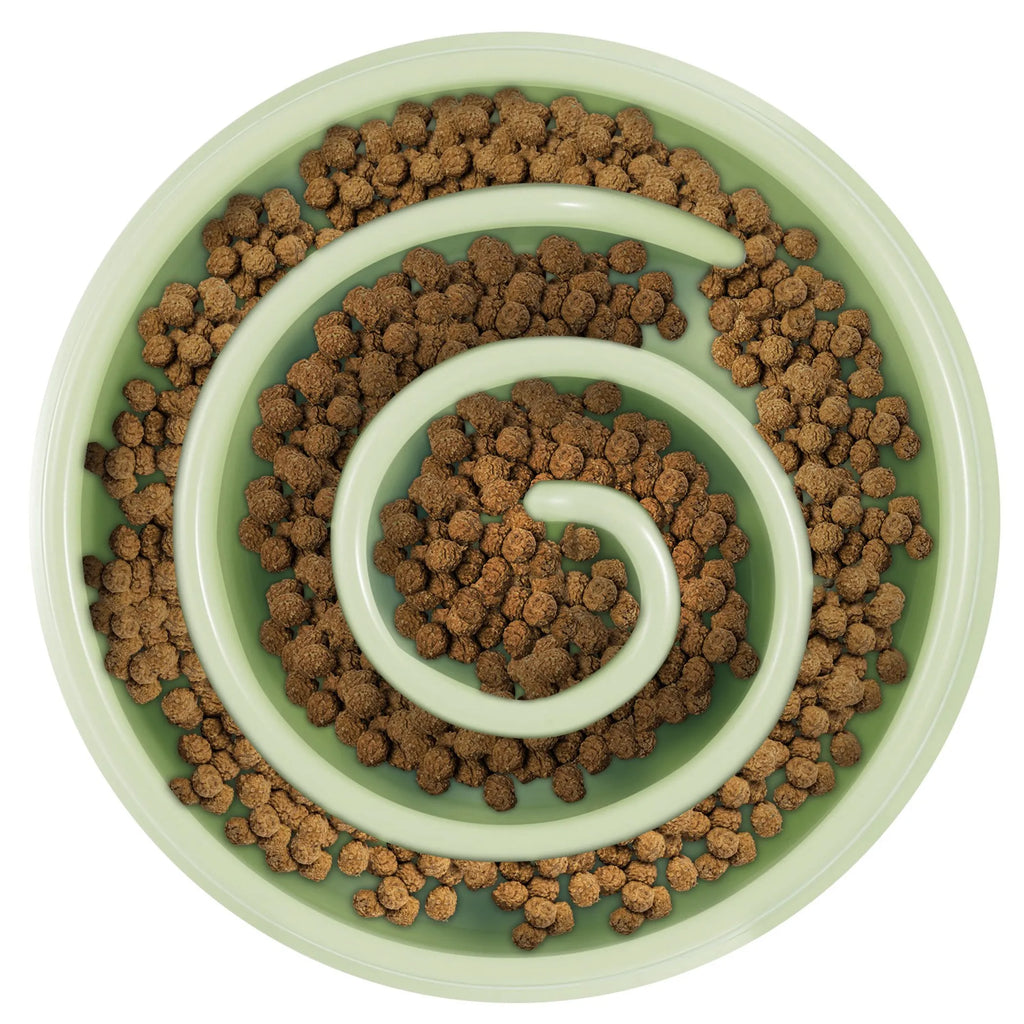 Dog Cat Slow Feeder Bowl Pet