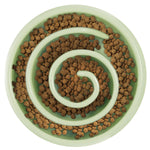 Dog Cat Slow Feeder Bowl Pet