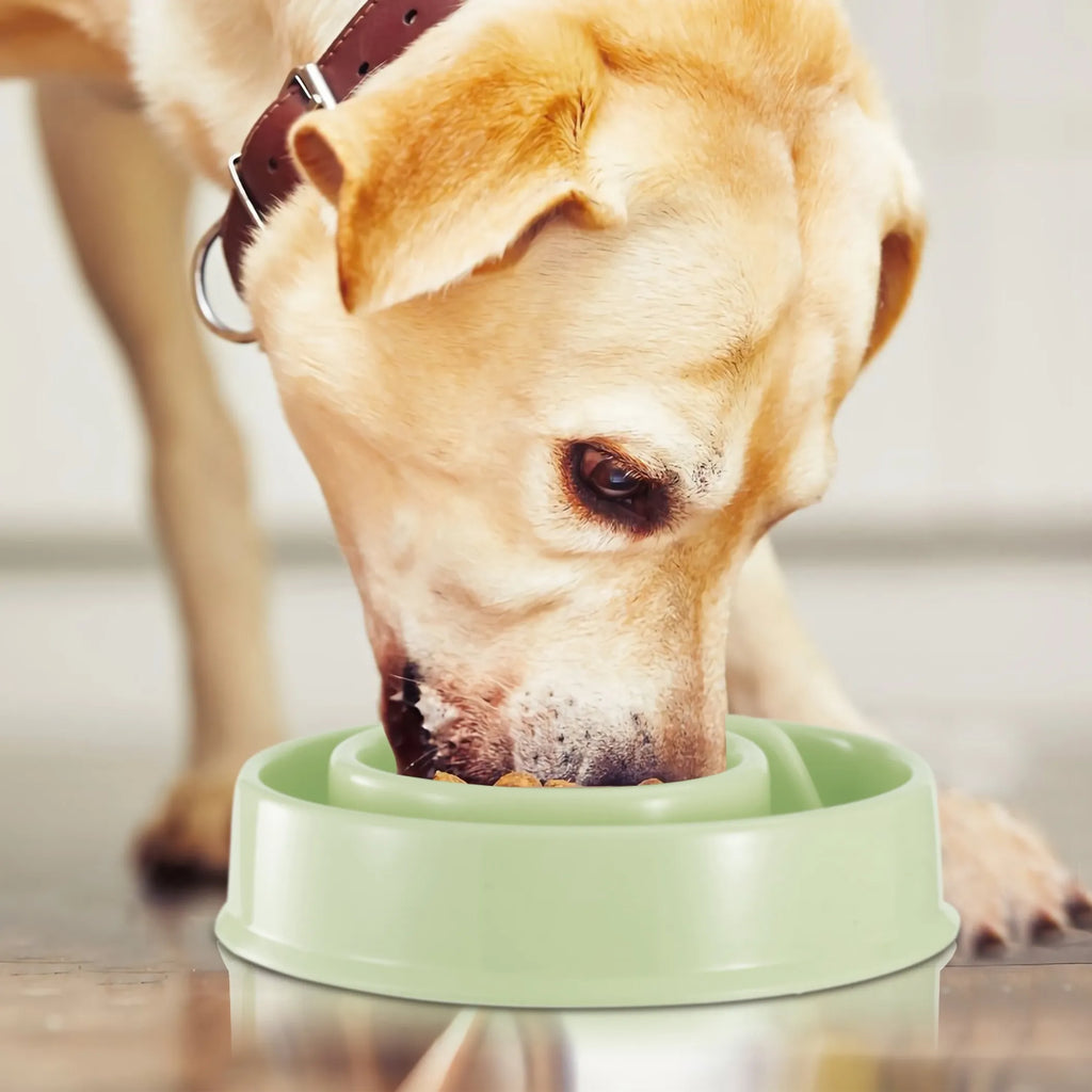 Dog Cat Slow Feeder Bowl Pet