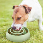 Dog Cat Slow Feeder Bowl Pet