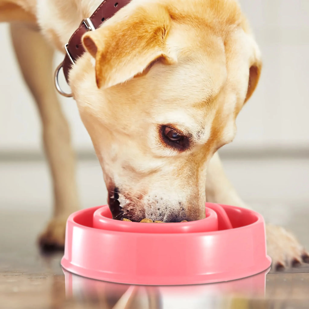 Dog Cat Slow Feeder Bowl Pet Interactive