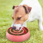Dog Cat Slow Feeder Bowl Pet Interactive