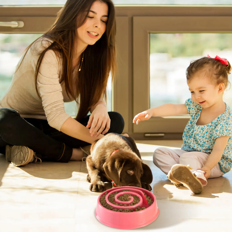 Dog Cat Slow Feeder Bowl Pet Interactive