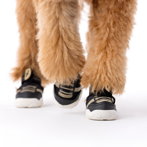 The Kai- Dog Sneaker