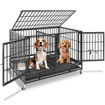 42" Stackable Dog Crate with Divider 43T (Standard Height)