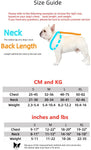 Luxury Red Lips Breathable Mesh Harness Chest Back + Traction