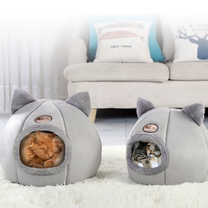 Beds & Blanket