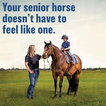 Bute-Less Comfort & Recovery Joint Supplement with B-12 for Horses