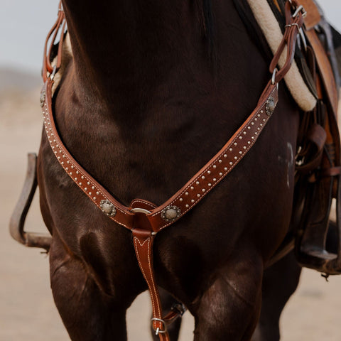 California Dotted Chocolate Harness Breast Collar
