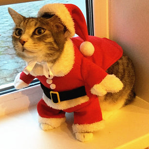 Christmas Santa Costume for Dogs & Cats, Funny Winter Pet Outfit