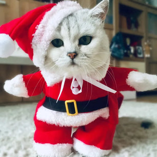 Winter Christmas Santa Costume for Small Cats & Dogs, Funny Pet Outfit