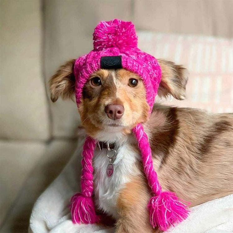 Autumn Winter Warm Knitted Pet Hats With Fluffy Ball