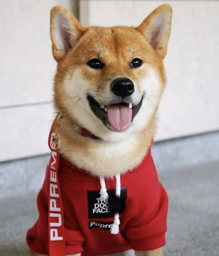 Sport Retro Hoodies Pet Clothes S-XXL