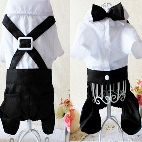 Handsome Stylish Pet Suit with Bow Tie