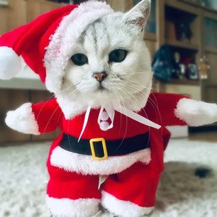 Winter Christmas Santa Costume for Small Cats & Dogs, Funny Pet Outfit