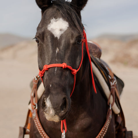 Clinician 4 Knot Halter and 14ft Lead Set