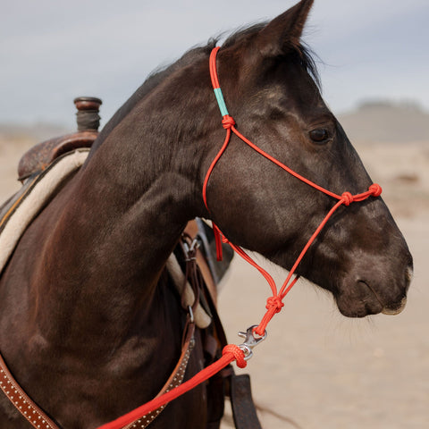 Clinician 4 Knot Halter and 14ft Lead Set