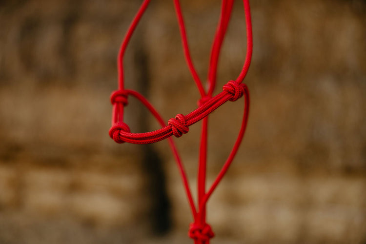 Clinician 4 Knot Halter and 14ft Lead Set