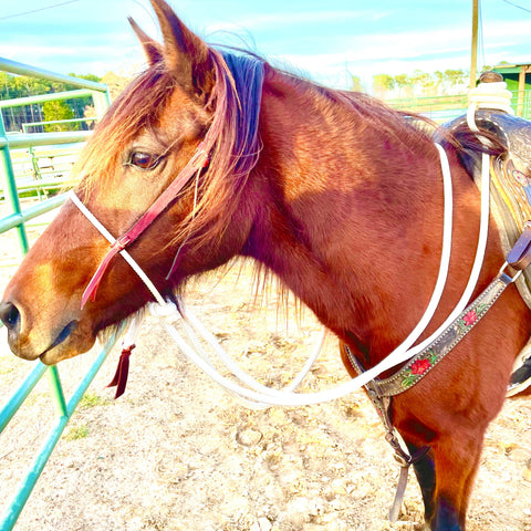 Loping Hackamore: Turquoise or Natural Colored
